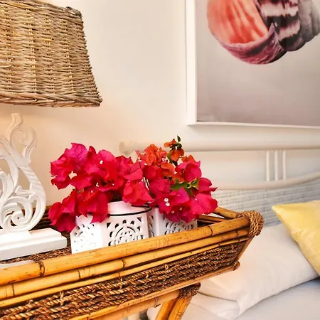 Minea Ii * 코스타카르마