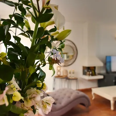 Minea Ii * Κόστα Κάλμα