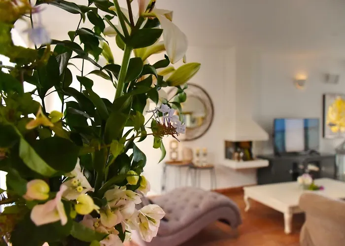 Minea Ii * Costa Calma